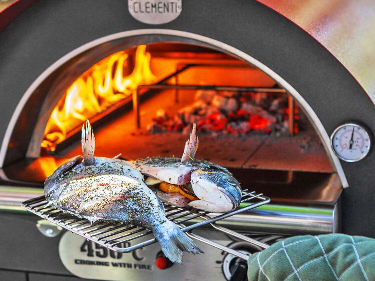 Clementi Gas Oven - close up of fish being removed